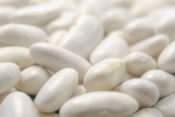 dried uncooked white bean seeds close up.