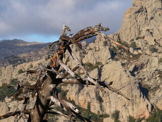 Corse - Randonnée - Punta Velaco - Aiguille de Bavella