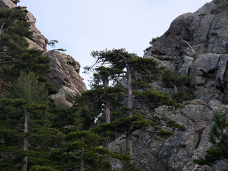 Fototapeta premium Corse - Randonnée - Punta Velaco - Aiguille de Bavella