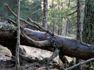 Corse - Randonnée - Punta Velaco - Aiguille de Bavella