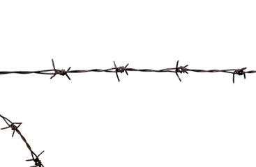 Rusty barbed wire isolated element