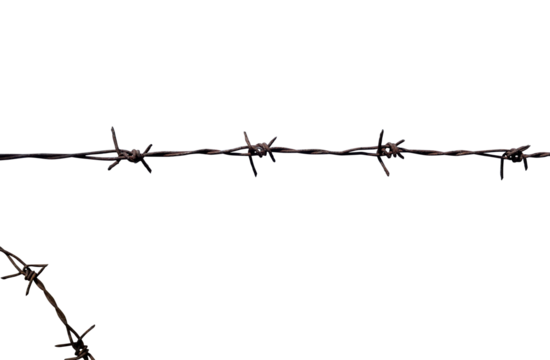 Rusty barbed wire isolated element