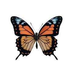 Obraz premium Beautiful Realistic Butterfly with Vibrant Wings on Transparent Background