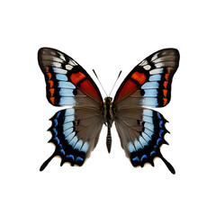 Obraz premium Beautiful Realistic Butterfly with Vibrant Wings on Transparent Background