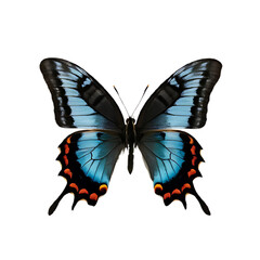 Obraz premium Beautiful Realistic Butterfly with Vibrant Wings on Transparent Background