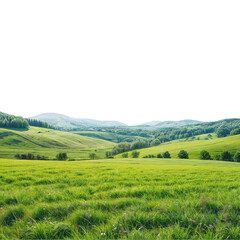 Serene Green Valley Landscape 