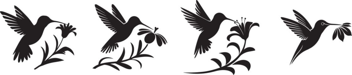 Elegant Hummingbirds and Flowers in Black