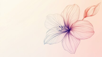 Obraz premium Minimalist five-petaled flower design on a soft pastel background.
