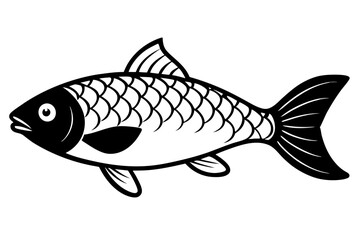 fish on a white background