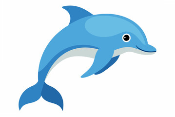 dolphin in the water