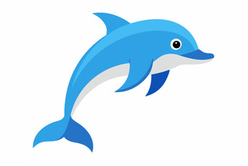 dolphin isolated on white background