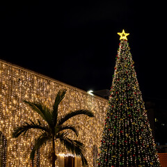 A beautifully decorated Christmas tree in Haifa, Israel. 
