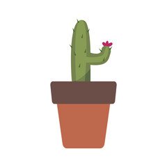 Cute Houseplants in flower pots on white background. Potted Plant Illustration.