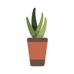 Cute Houseplants in flower pots on white background. Potted Plant Illustration.