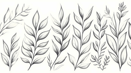 Pencil sketch of various leaves and branches; botanical illustration for design, print, or website.