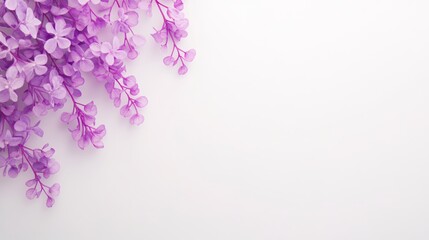 Fototapeta premium Delicate Purple Flower Arrangement on White Background for Elegant Design Concepts