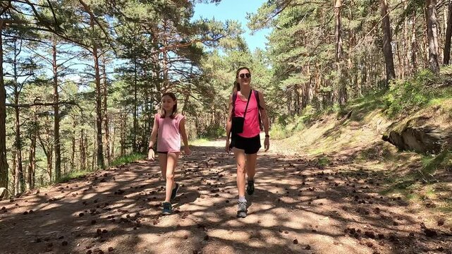 Mother and her daughter hikers talking while walking on a forest trail through tall pine trees on a sunny summer day, with dappled sunlight filtering through the canopy, in the Canencia mountain, the 