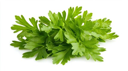 Fresh green parsley herb leaves on white background