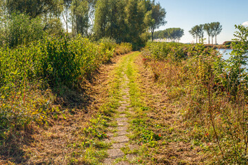 Obraz premium Narrow path of concrete stones between wild plants and bushes and along the water of a canal. The photo was taken on a sunny day in the autumn season.