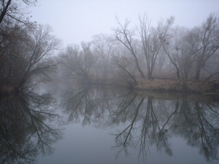 Bad weather. Fog and cold near the river Gloomy landscape
