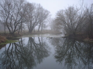 Bad weather. Fog and cold near the river Gloomy landscape