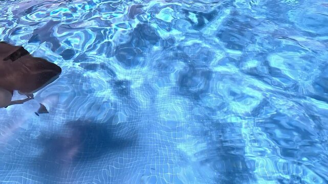 Young girl swimming underwater in a bright blue pool, wearing a dark red swimsuit. Overhead view from outside the surface, with sunlight creating rippling patterns on her body and the pool floor