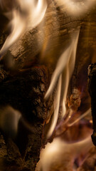 Textura trozo de leña envuelto en humo denso color amarillo