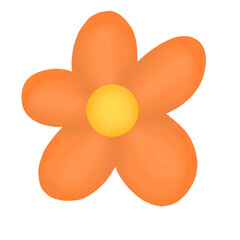Flower, flower isolated on white, orange flower, orange flower on white background
