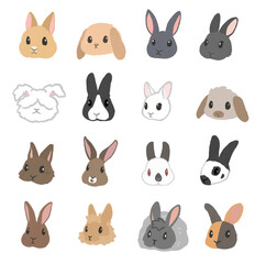 いろいろなウサギセット