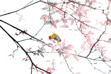 Dreamy butterflies flutter amidst falling petals from blooming pink tree against a pastel sky. Evokes serenity and spring. Beautiful butterfly yellow and multicolor wing feeding nectar of flowers.