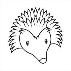 Echidna - Unique Spiny Mammal of Australia