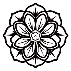 illustration of a flower