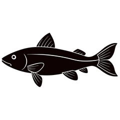 fish on a white background