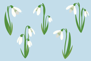 Set of spring flowers and snowdrop buds on blue background. Wild spring blooming flowers. Flat vector illustration