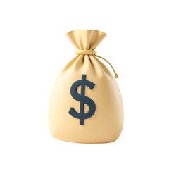 bag with money