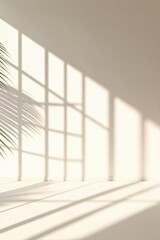 Fototapeta premium Soft Shadows on Minimalist Wall with Palm Leaf in Bright Natural Light