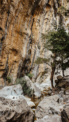 Majestic Samaria Gorge In Crete: One Of The Longest And Most Breathtaking Natural Gorges In Europe...