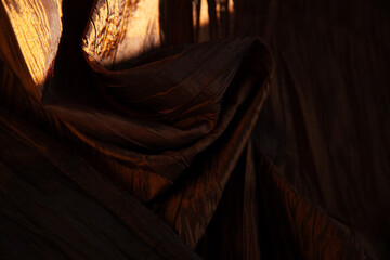 Draped fabric in rich brown hues, illuminated by sunlight, creating a dramatic interplay of light...