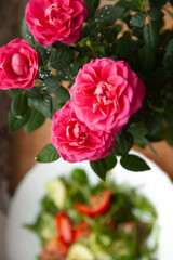 Pink roses and a vibrant green salad create a beautiful, fresh composition, perfect for culinary or lifestyle imagery.