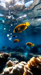 Obraz premium Colorful fish swimming in clear ocean water, surrounded by coral and bubbles, creating a serene underwater scene.