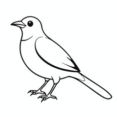 vector bird art free download