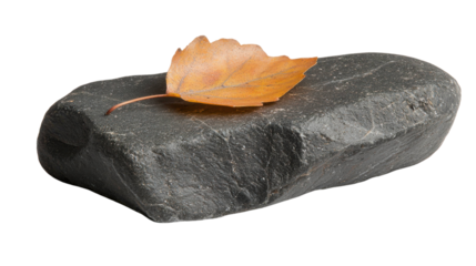 Smooth black stone with orange leaf resting on top, showcasing nature beauty