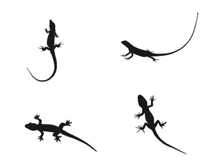 lizard silhouette vector set illustration. Lizard vector icon logo and symbols template. The leopard gecko silhouette set collection isolated black on a white background. 