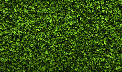 Obraz premium Lush green foliage background texture. Perfect for website banners, presentations, or any design needing a natural, vibrant feel.
