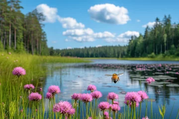 Rolgordijnen zonder boren Vibrant Wildflowers and Busy Bee in Serene Lakeside Landscape Under Blue Sky © Duskcraft