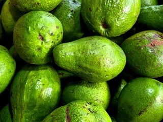 Close-up view of fresh green avocados with textured skin, ideal for illustrating organic produce or healthy eating themes.

