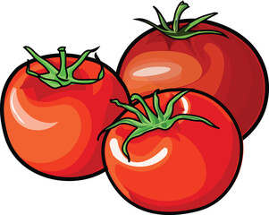 Tomatoes groups vector illustration