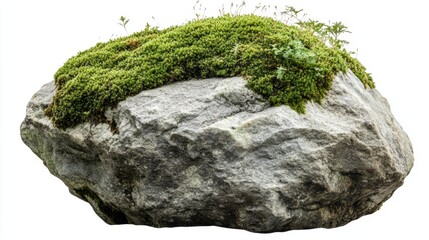 Mossy Rock Isolated on White Background