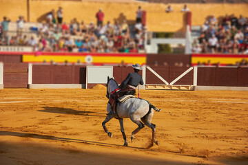 A bullfighter rides a gray horse across a sandy bullring; spectators sit in the background on...