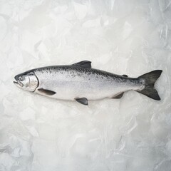 Obraz premium A horizontal salmon resting on a pristine white surface with ultra-realistic textures